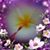 Jeanne Olvera's profile image
