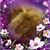 Janaye Atwood-Estlick's profile image
