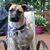 Denise Mader Crisler's profile image