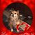 Susan Rutman's profile image