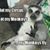 Lisa Lynn Lee's profile image
