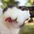Poe Cherry's profile image