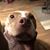 Darryl Davies's profile image