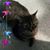 Kate Siegert's profile image