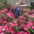 Diane Sninsky's profile image