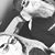 Ashley Magrum Folster's profile image