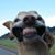 Peter Bergeron's profile image