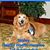 Robin Canady's profile image