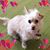 Judith Goldstein's profile image