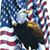 Todd Swindle's profile image