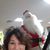 Julie Rybarczyk Gunia's profile image