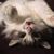 Stephanie K. Spann's profile image