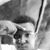 Fada Romii's profile image