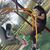 Hilari Thibault's profile image