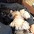 Shelly Rush Fledderjohann's profile image
