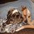Lois Dunn's profile image