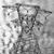 Rex Richardson's profile image