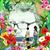 Saleem Akhtar's profile image
