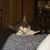 Fran Adams's profile image