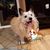 Mimi Sullivan's profile image
