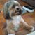 Terry Mertz's profile image