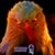 Michael Minnich's profile image