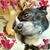 Lillian Blacksten's profile image