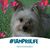 Lisa Anglin's profile image
