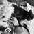 Susan Pickering Zetterholm's profile image