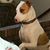 Tracy Doyle's profile image