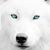 Nancy Williams's profile image