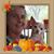 Cheryl Schleeter's profile image