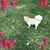 Opal Miller's profile image