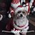 Mary Lou Davis Roberts's profile image