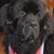 Angela Kisiel Wills's profile image