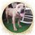 Tammy Payne's profile image