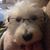 Kathy Visicaro Burks's profile image
