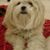 Gilyn Bajar's profile image