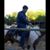 Jose Briones's profile image
