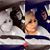 Lidia Cuellar's profile image