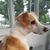 Margaret Donahue's profile image