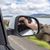 Dan Bouck's profile image
