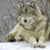 Michele Baierl's profile image