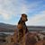 Mary Wheaton Van Hoesen's profile image
