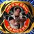 Eric Anderson's profile image