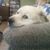 Wanda Merrell's profile image
