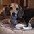 Jenny Rood's profile image