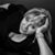 Geneviève Chiari's profile image