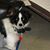 Connie Olson Anderson's profile image