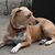 Sara Prigge's profile image